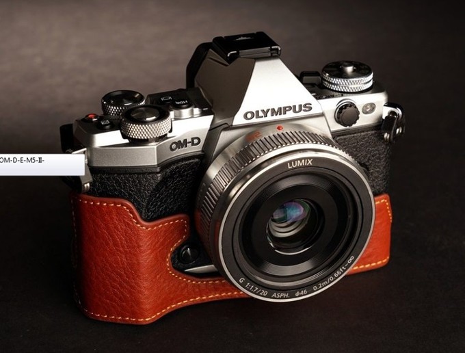 Skrzane etui dla Olympusa OM-D E-M5 Mark II