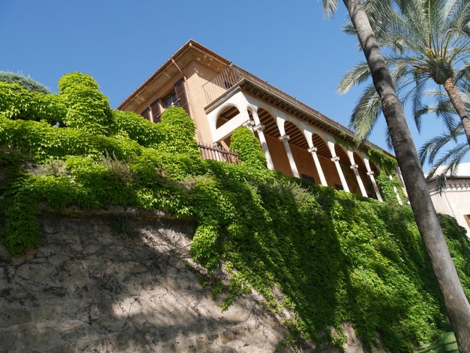 Panasonic Lumix DMC-G7 - pierwsze wra�enia - Panasonic Lumix DMC-G7 - pierwsze wra�enia