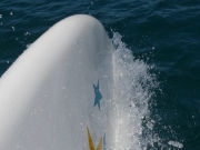 Panasonic Lumix DMC-G7 - pierwsze wra�enia - Panasonic Lumix DMC-G7 - pierwsze wra�enia