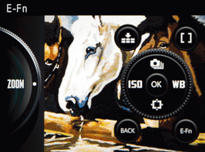 Fujifilm XQ2 - Uytkowanie i ergonomia