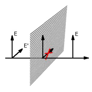 Test filtrw polaryzacyjnych - O wietle i polaryzacji