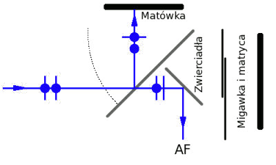 Test filtrw polaryzacyjnych - O wietle i polaryzacji