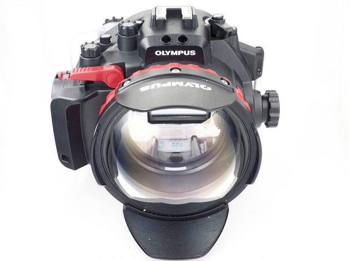 Olympus E-M1 i najjaniejszy na wiecie fisheye M.Zuiko 8 mm f/1.8 PRO pod wod - Port kopuowy i port paski