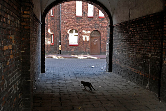 Nikiszowiec - wystawa fotografii