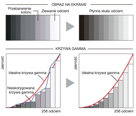Monitor dla fotografa - część III : o technice słów kilka - Jak dbać o jakość wyśwetlanego obrazu? Monitor dla fotografa - część III : o technice słów kilka - Jak dbać o jakość wyśwetlanego obrazu?