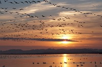 Sony A6300 w naszych rkach - Rozdzia 2
