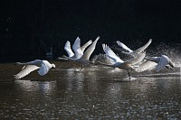 Sony A6300 w naszych rkach - Rozdzia 2