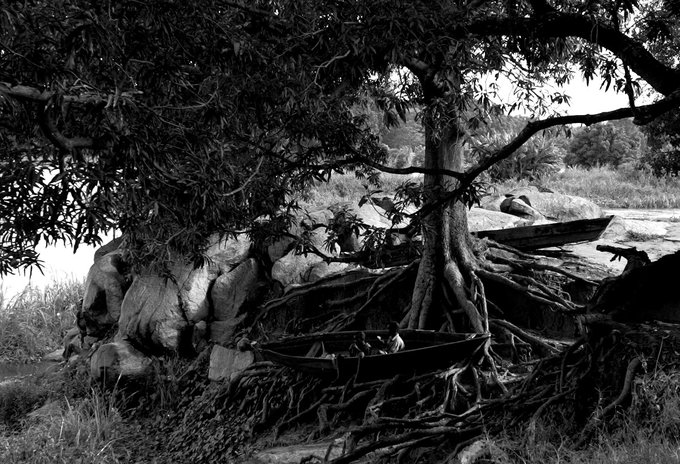 Historia jednej fotografii - Smyki z Sudanu - Historia jednej fotografii - Smyki z Sudanu