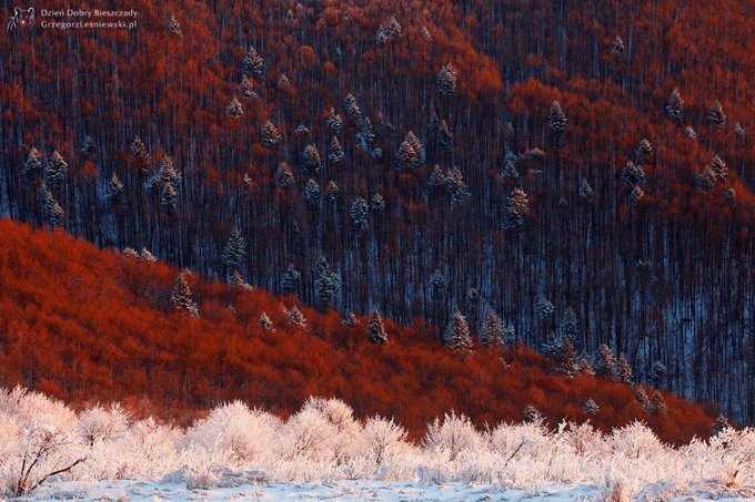 Dzie dobry Bieszczady - w kwietniu plener fotograficzny
