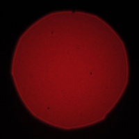 Venus Optics LAOWA STF 105 mm f/2 (T3.2) - Koma, astygmatyzm i bokeh