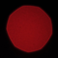 Venus Optics LAOWA STF 105 mm f/2 (T3.2) - Koma, astygmatyzm i bokeh