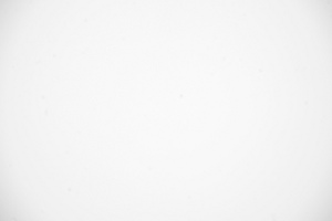 Venus Optics LAOWA STF 105 mm f/2 (T3.2) - Winietowanie