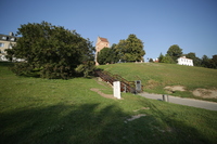 Irix 15 mm f/2.4 - zdjcia przykadowe