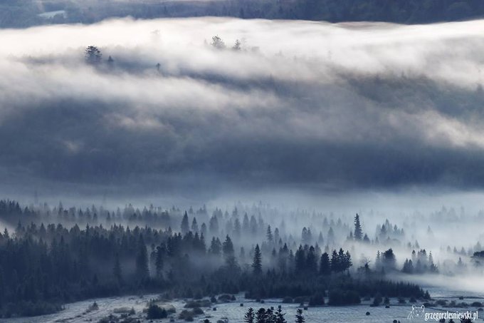 O fotografii dzikiej przyrody - spotkanie z Grzegorzem Leniewskim