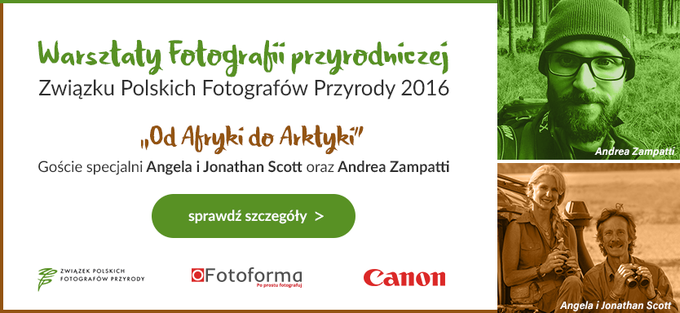 Listopadowe warsztaty fotografii przyrodniczej