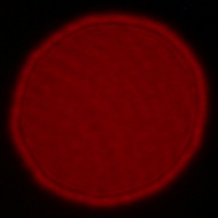Canon EF 16-35 mm f/2.8L III USM - Koma, astygmatyzm i bokeh