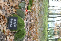 Zdjcie przykadowe nr: 0