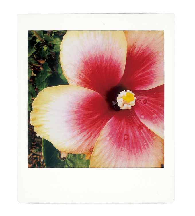 Fujifilm instax Square SQ10