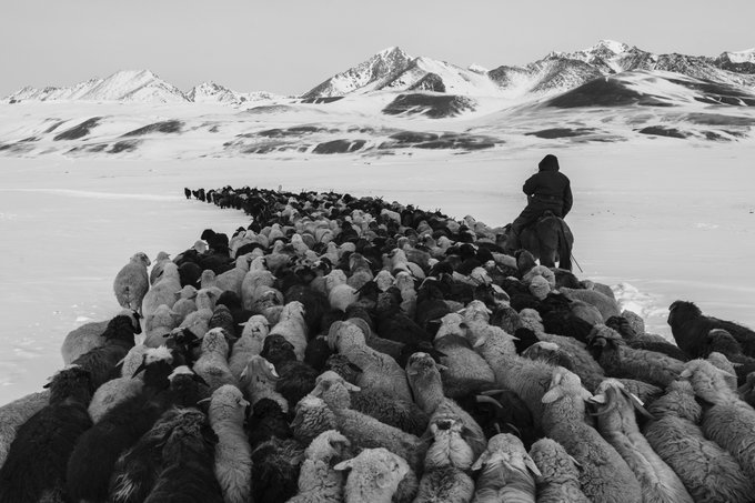 Nagrodzeni w konkursie Sony World Photography Awards 2017