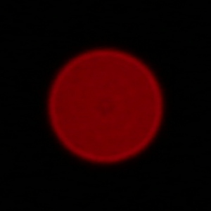 Sigma C 100-400 mm f/5-6.3 DG OS HSM - Aberracja chromatyczna i sferyczna