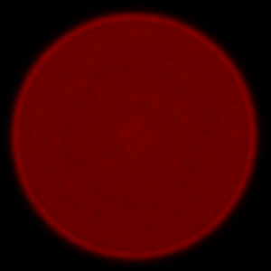 Sigma C 100-400 mm f/5-6.3 DG OS HSM - Aberracja chromatyczna i sferyczna