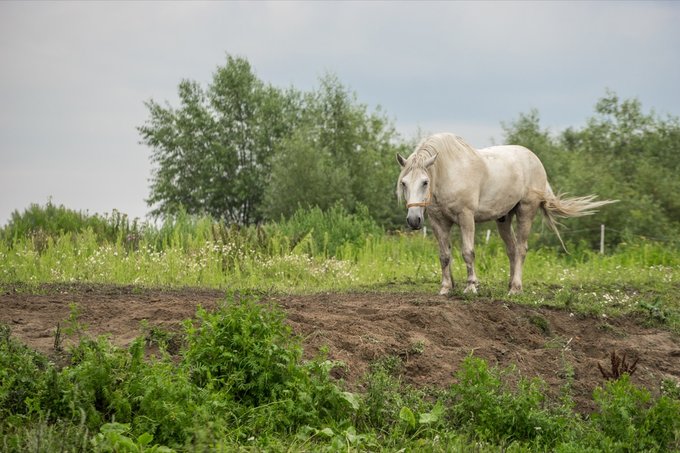 X Zlot Czytelnikw Optyczne.pl - Gniew 2017 - relacja - Dzie pierwszy i drugi