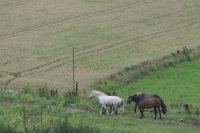 Panasonic Lumix DMC-FZ2000 - Zdjcia przykadowe