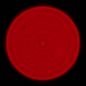 Canon EF 400 mm f/4 DO IS II USM - Aberracja chromatyczna i sferyczna