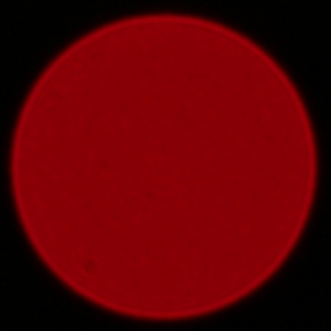 Sigma S 500 mm f/4 DG OS HSM - Aberracja chromatyczna i asferyczna