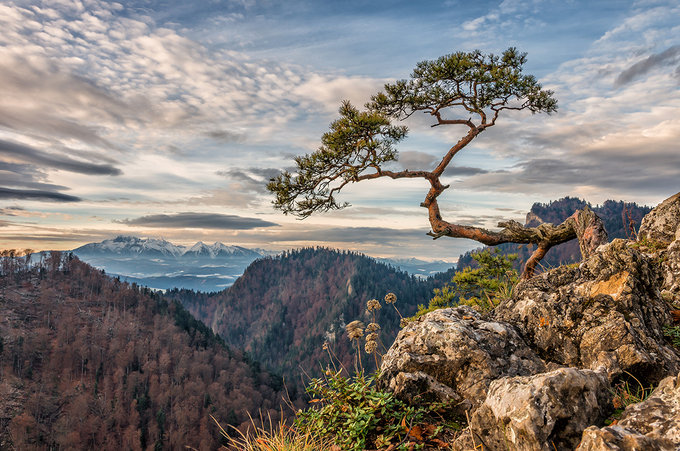 Tokina i fotowarsztaty.com zapraszaj na jesienny plener w Pieninach