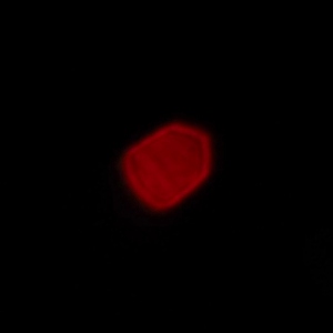 Venus Optics LAOWA 7.5 mm f/2 MFT - Koma, astygmatyzm i bokeh