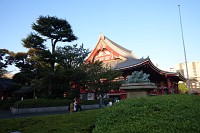 Sony RX0 - zdj�cia przyk�adowe