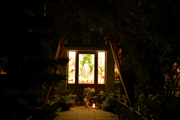 Nikon D850 - Jako obrazu JPEG