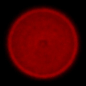 Tamron 18-400 mm f/3.5-6.3 Di II VC HLD - Aberracja chromatyczna i sferyczna