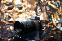 Sony A7R III - zdj�cia przyk�adowe 