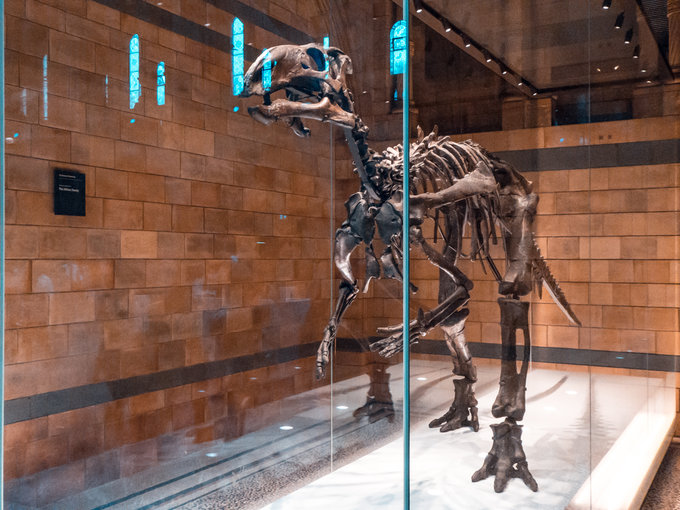 Tanie loty, fotografia uliczna i Panasonic Lumix TZ90 - Fotografia TZ90 w praktyce