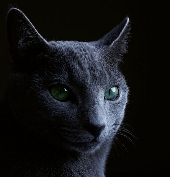 Warsztaty fotografii portretowej z Rafałem Wylegałą Warsztaty fotografii portretowej z Rafałem Wylegałą