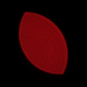 Fujifilm Fujinon XF 80 mm f/2.8 LM OIS WR Macro - Koma, astygmatyzm i bokeh