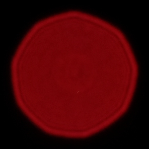 Fujifilm Fujinon XF 80 mm f/2.8 LM OIS WR Macro - Koma, astygmatyzm i bokeh