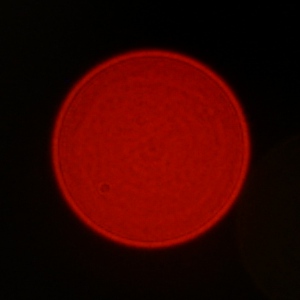 Sigma C 16 mm f/1.4 DC DN - Aberracja chromatyczna i sferyczna