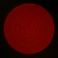Venus Optics LAOWA 15 mm f/2 ZERO-D - Koma, astygmatyzm i bokeh