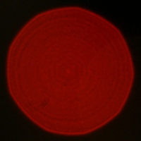 Samyang AF 35 mm f/1.4 FE - Koma, astygmatyzm i bokeh