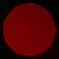Samyang AF 35 mm f/1.4 FE - Koma, astygmatyzm i bokeh