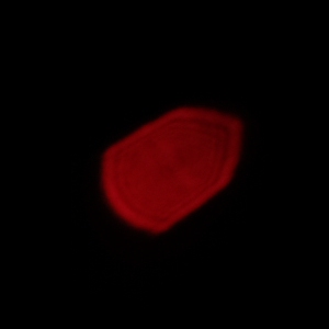 Venus Optics LAOWA 9 mm f/2.8 ZERO-D - Koma, astygmatyzm i bokeh