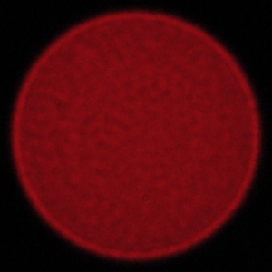 Tamron 70-210 mm f/4 Di VC USD - Aberracja chromatyczna i sferyczna