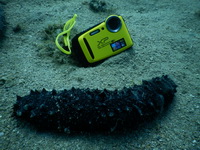 Test dwch aparatw podwodnych - Przykadowe zdjcia i filmy