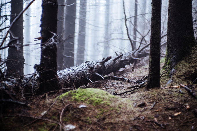 Kamlan 50 mm f/1.1 - jasna staka na kad kiesze - Fotografowanie w praktyce