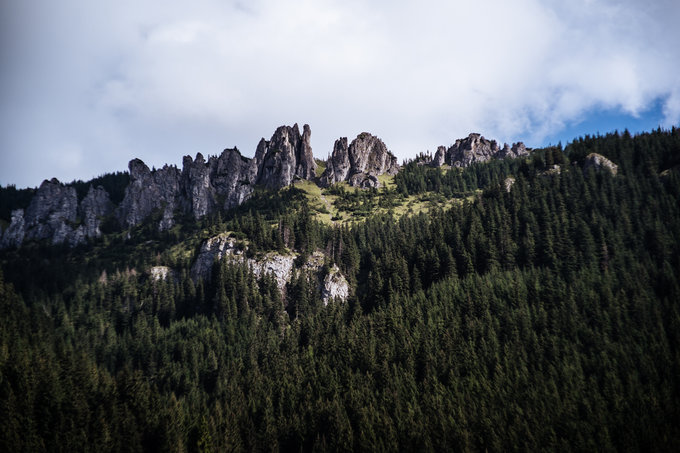 Kamlan 50 mm f/1.1 - jasna staka na kad kiesze - Fotografowanie w praktyce