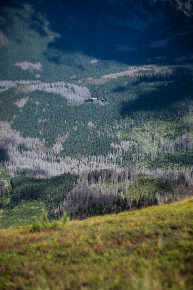 Kamlan 50 mm f/1.1 - jasna staka na kad kiesze - Fotografowanie w praktyce