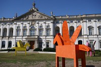 Zdjcie przykadowe nr: 0
